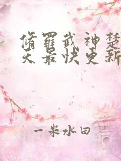 修罗武神楚枫今天最快更新章节