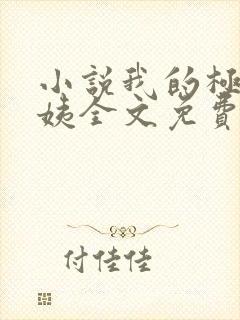 小说我的极品小姨全文免费阅读