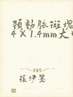 颈动脉斑块3.4×1.4mm大吗?
