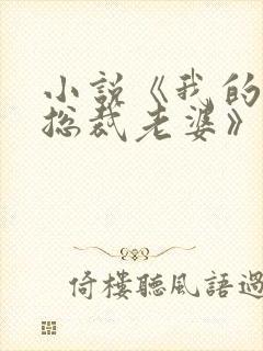 小说《我的冷艳总裁老婆》