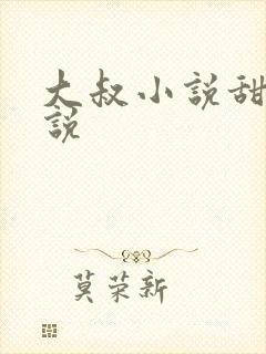 大叔小说甜宠小说