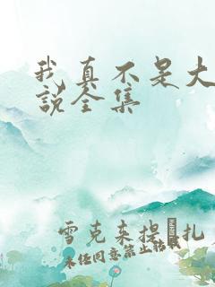 我真不是大佬小说全集