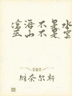 沧海不是水除却巫山不是云什么意思