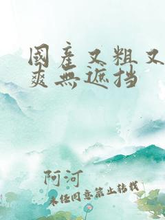 国产又粗又黄又爽无遮挡