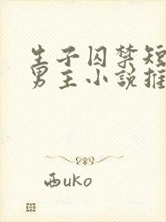 生子囚禁短篇双男主小说推荐