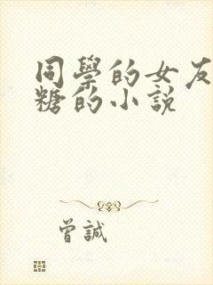 同学的女友是糖糖的小说