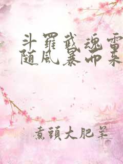 斗罗武魂雷伊我随风暴而来笔趣阁