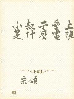 小叔子爱上嫂子是什么电视剧