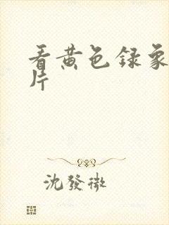 看黄色录象一级片