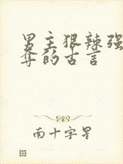 男主狠辣强取豪夺的古言