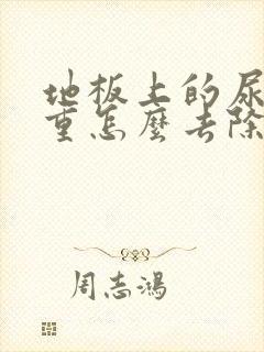 地板上的尿骚味重怎么去除