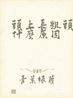 头上长粗头发是什么原因