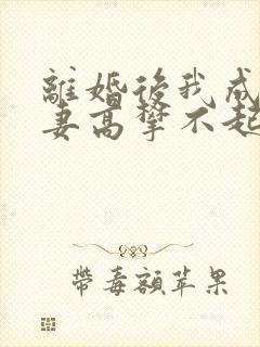 离婚后我成了前妻高攀不起