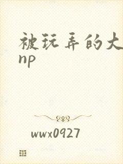 被玩弄的大小姐np