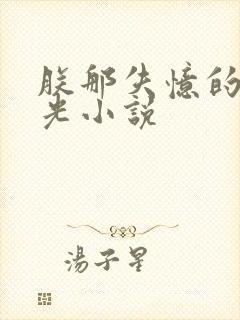 朕那失忆的白月光小说