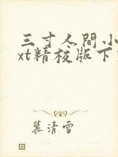 三寸人间小说txt精校版下载