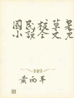 国民校草是女生小说全文免费阅读