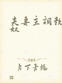 夫妻主调教夫妻奴