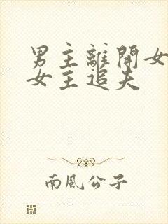 男主离开女主,女主追夫