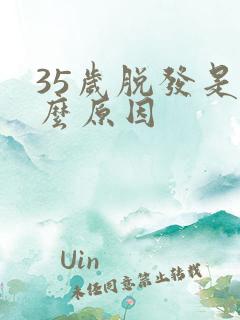 35岁脱发是什么原因