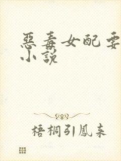 恶毒女配要逆袭小说