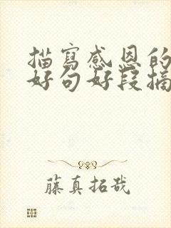 描写感恩的好词好句好段摘抄