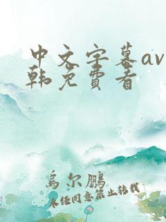 中文字幕av日韩免费看