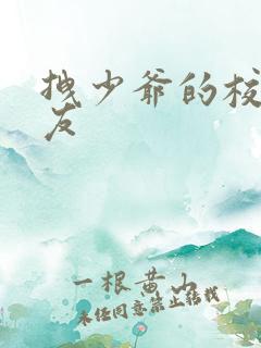 拽少爷的校花女友