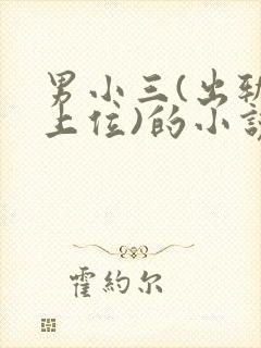 男小三(出轨,上位)的小说