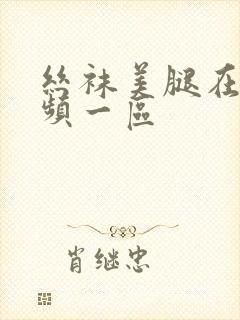 丝袜美腿在线视频一区