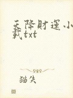 天降财运小说下载txt