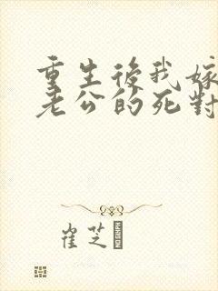 重生后我嫁给了老公的死对头 短剧