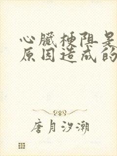 心脏梗阻是什么原因造成的