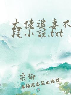 大佬追妻不择手段小说.txt