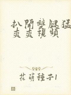 扒开双腿猛入看爽爽视频