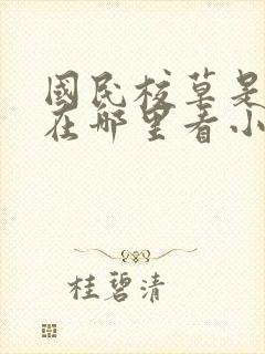 国民校草是女生在哪里看小说