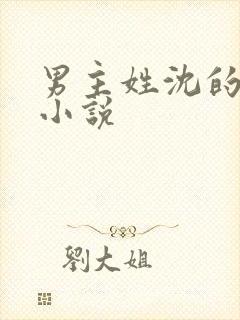 男主姓沈的现代小说