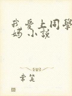 我爱上同学的妈妈 小说