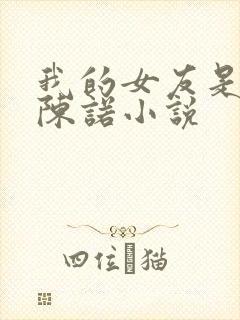 我的女友是校花陈诺小说