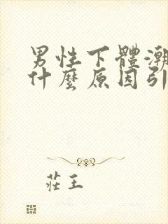 男性下体潮湿是什么原因引起的