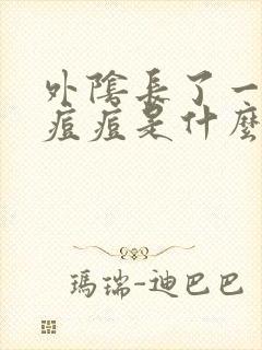 外阴长了一个硬痘痘是什么