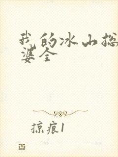 我的冰山总裁老婆全