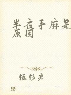 半夜手麻是什么原因