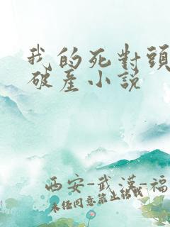 我的死对头终于破产小说