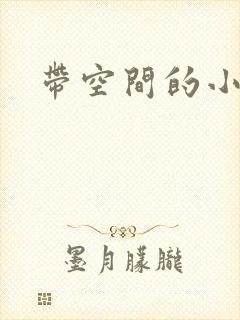 带空间的小说