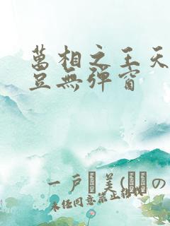 万相之王天蚕土豆无弹窗