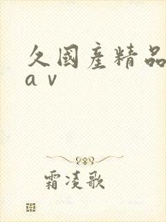 久国产精品人妻aⅴ