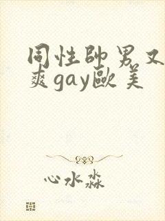 同性帅男又粗又爽gay欧美