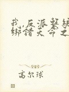 我,反派系统,绑错天命之子小说结局