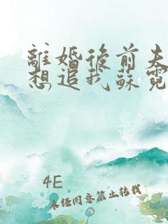 离婚后前夫总是想追我苏霓嘉